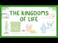 Kingdoms Of Life Animals Plants Fungi Protoctists Bacteria And Viruses