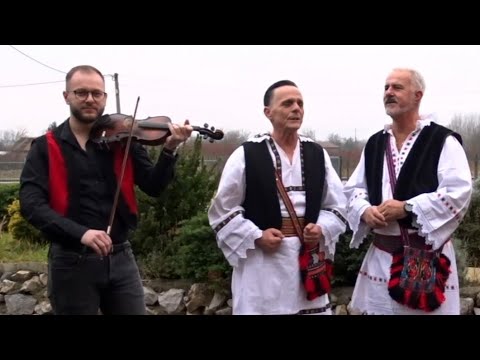 Braća Vidović - Zijan - Novo 2025. (official video Music)