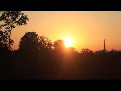 die Railers - Freight Train (official video)