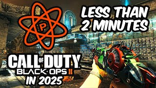How To Download BO2 Plutonium In 2025 (EASY METHOD)