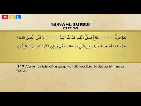 MPL TV Canlı Yayını