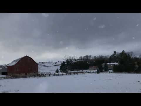 Ioan Muraru : Norii trec și ning ( Cover )