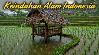 Download lagu Inilah Keindahan Desa Indonesia yang Jarang Diketahui Orang 🌿 mp3