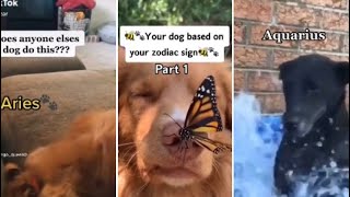 Zodiac signs as dogs ~ TikTok compilation 🐶🔮