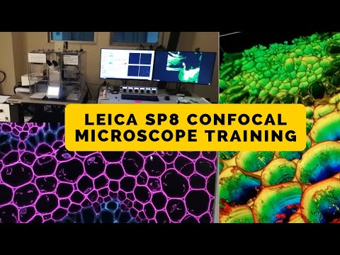 Leica SP8 Confocal Microscope Training Video