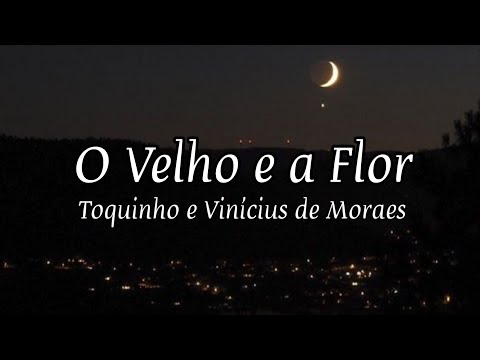 O Velho e a Flor/ Veja Você/ Mais um Adeus • Toquinho & Vinícius de Moraes - Legenda