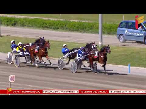 II Corsa del 19 aprile 2023 - 4 Anni - Metri 1600