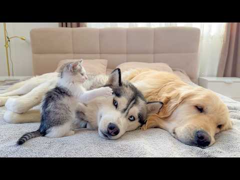 YouTube 썸네일