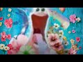 Charlie Charlie Kirky 1 Hour Perfect Loop