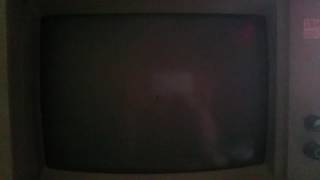 Neat Hercules Graphics Monochrome Monitor Effect