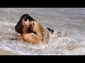 Beach Girls 1982 SEX MOVIE