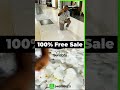 If You Wanna Damage It Means Its Possible ‍ ️ 6 4 At Unbelievable Price 100 Free Sale
