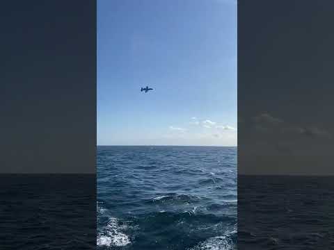 A10 Silhouette