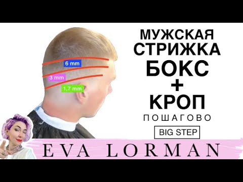 ki s hogyan gygyította meg a fej pikkelysömörét