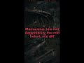 T Rex Vs Some Of The Theropods He Mention Plokute6758