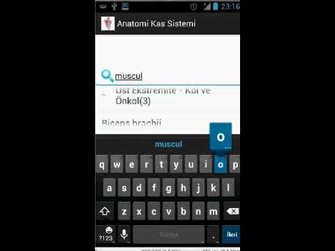 Anatomi Kas Sistemi Video