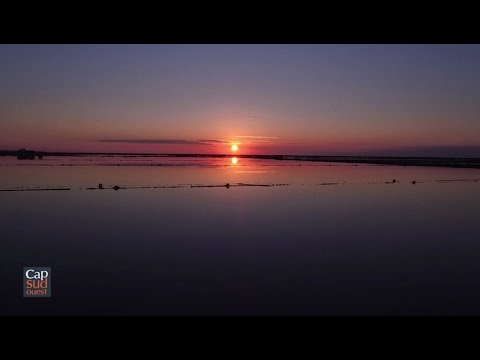 Cap Sud Ouest Corbières maritimes