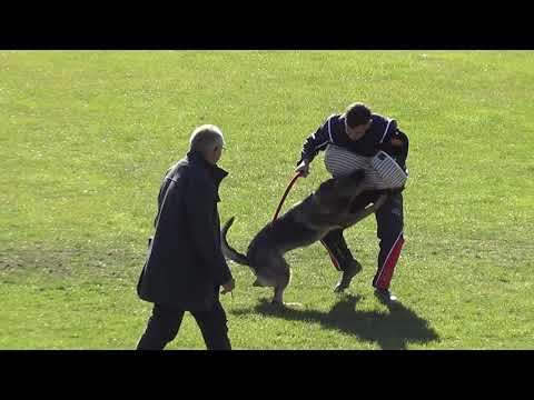 WUSV 2021  RUS 4 - KHLOPOTIN TIMOFEY & LISVEGEN BARRAKUDA C 87