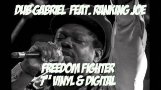 Dub Gabriel feat. Ranking Joe - Freedom Fighter