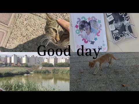 Good day🐈‍⬛