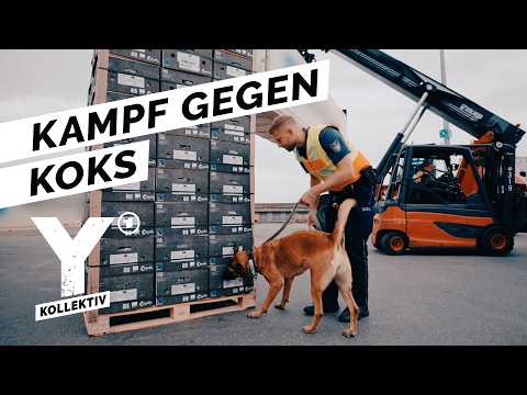 Kokainflut im Hamburger Hafen – Jagd auf die Drogenhändler | Y-Kollektiv
