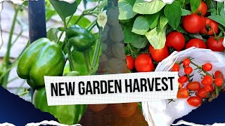 Our new garden tour first harvest & fresh beginnings with EsteeLicious