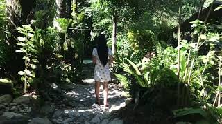 preview picture of video 'Aurora’s Hidden Paradise “Caunayan Falls”'