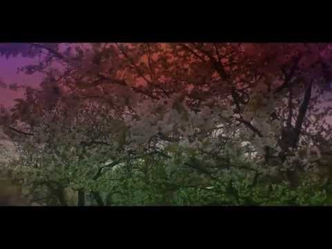 Joshi Mini#1 (Laxarna - Episode #14)