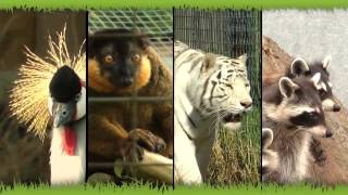 Hamerton Zoo Park video Huntingdonshire places to visit Hamerton Zoo Park video