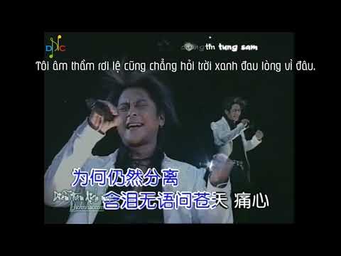 [Vietsub + Kara] 心痛 - Đau Lòng - Vương Kiệt (Live)