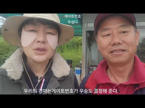 왜? 게이트번호가 중요/청계산 옥녀봉에서 바라본 경마장