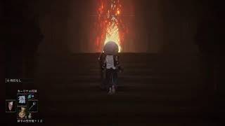 魔術を極めたいエルデンリング[059]