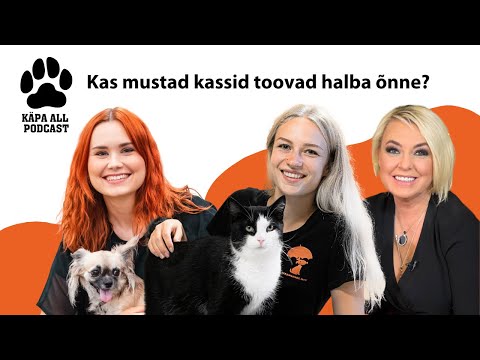 #1 Käpa all podcast: Kas mustad kassid toovad halba õnne?