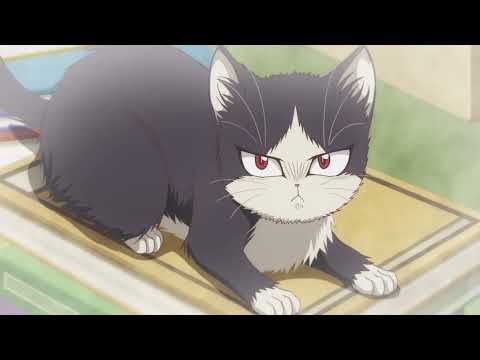 episode 2 my roommate is a cat English dub