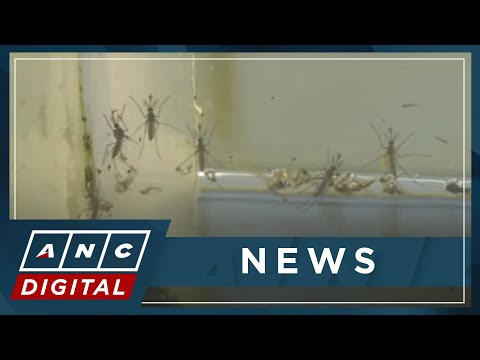 Health Talk: DOH Undersecretary Tayag on spike in flu, dengue cases ANC