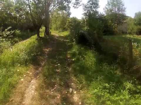 Tristetea din Rachis...