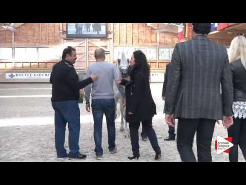 2nd PLACE-N.39 NESJ EL MARKHISA - DEAUVILLE 2015 - Senior Mares Championship (Class 19)