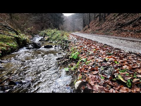 Drumul spre Vadu Dobrii, din Runcu Mare