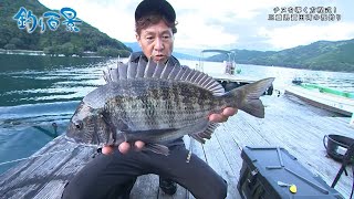 釣り百景】#357 チヌを導く方程式！三重県賀田湾の筏釣り
