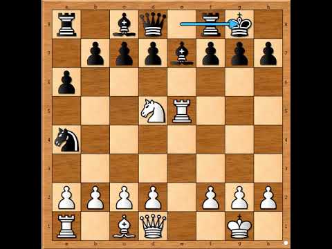 Takav potez je neodbranljiv ‼️           💣💣💥💥💣    PENQUITE vs BELZER #2535