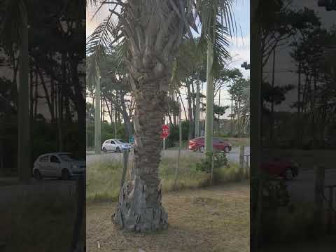 Casa en venta en Balneario La Aguada, Rocha