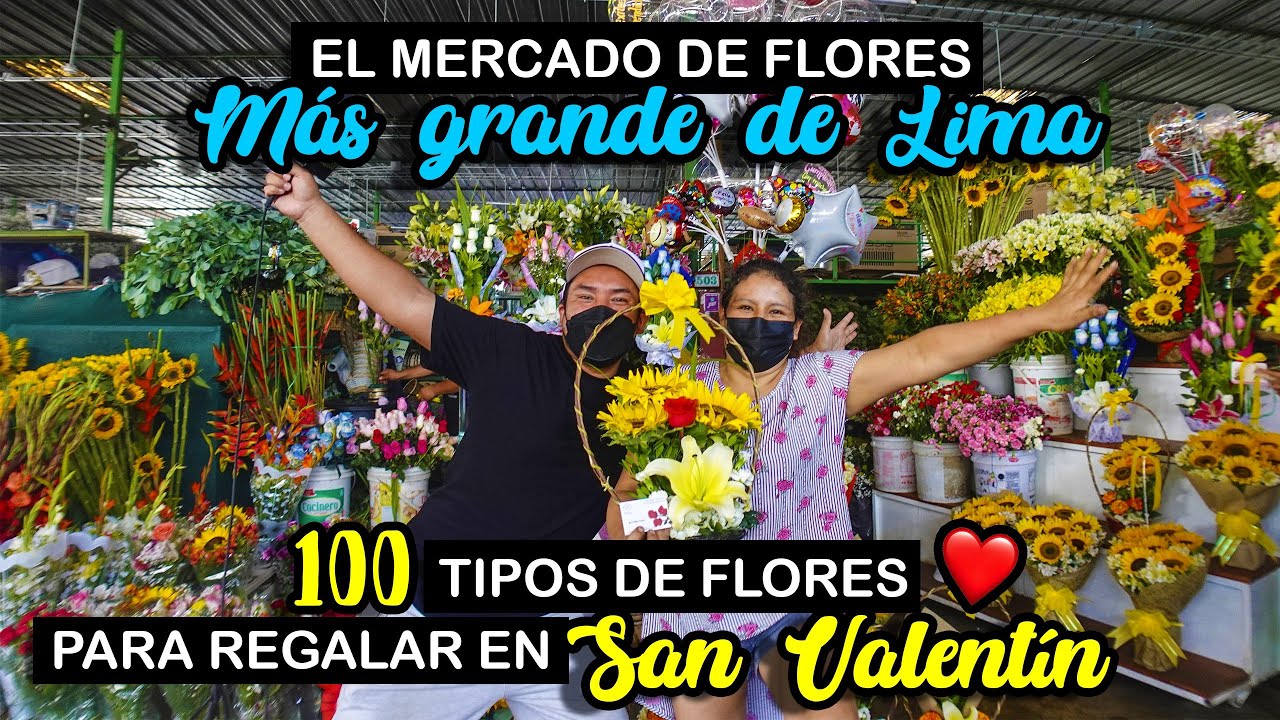 Watch MERCADO DE FLORES | LA MEJOR VARIEDAD PARA REGALAR EN SAN VALENTÍN | DÍA DEL AMOR (14 FEBRERO) Now MERCADO DE FLORES | LA MEJOR VARIEDAD PARA REGALAR EN SAN VALENTÍN | DÍA DEL AMOR (14 FEBRERO)