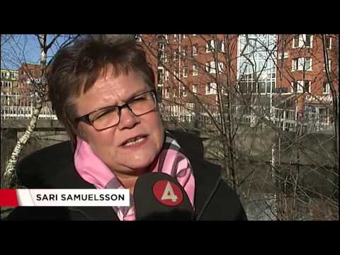 Utbrett fusk inom Försäkringskassan - Nyheterna (TV4)