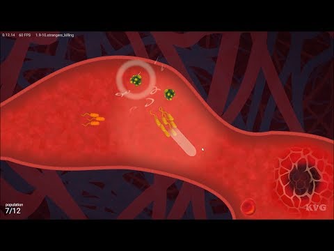 biorhythm Gameplay (PC HD) [1080p60FPS]