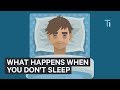 What Happens To Your Body And Brain If You Don't Get Sleep | The Human Body