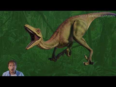 Top 5 Fastest Dinosaurs | Little Dinosaur Explores