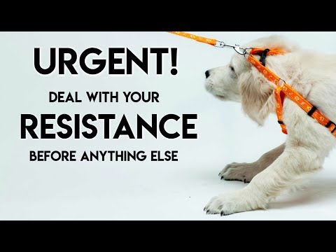 Urgent! Deal With Your Resistance Before You Do Anything Else - Teal Swan