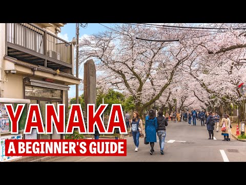 A Beginner's Guide to Yanaka