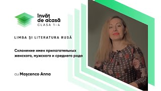 "Склонение имен прилагательных женского, мужского и среднего рода"