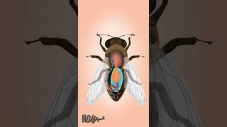 Why Bees Die After They Sting You